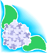 n