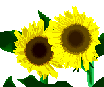 n