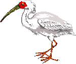 [U[