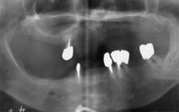 ���Ȏ���