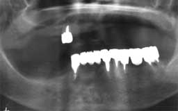 ���Ȏ���