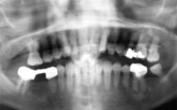 ���Ȏ���