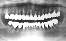 ���Ȏ���