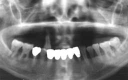 ���Ȏ���