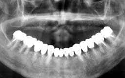 ���Ȏ���