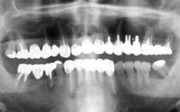 ���Ȏ���