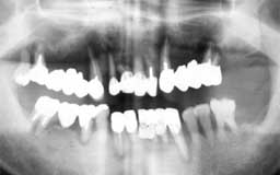 ���Ȏ���