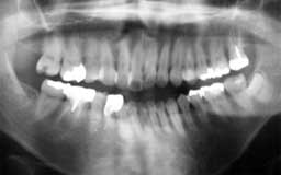 ���Ȏ���