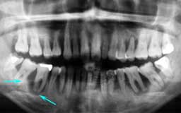 ���Ȏ���