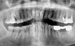 ���Ȏ���