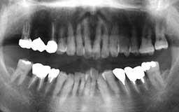 ���Ȏ���