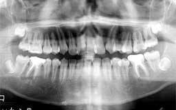 ���Ȏ���