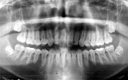 ���Ȏ���