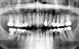 ���Ȏ���