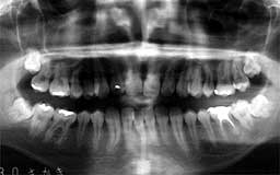 ���Ȏ���