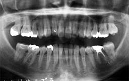 ���Ȏ���