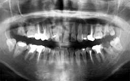 ���Ȏ���