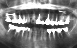 ���Ȏ���