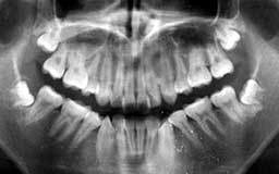 ���Ȏ���