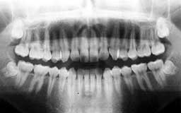 ���Ȏ���