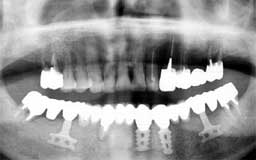 ���Ȏ���