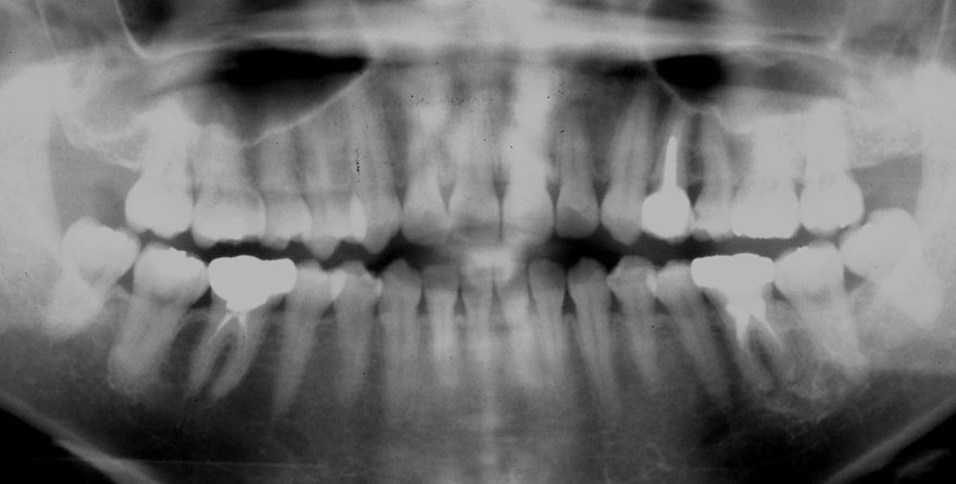 �͓c���Ȉ�@