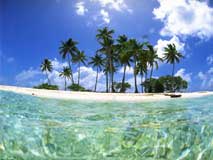 �t�B���b�s��