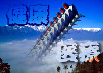 ���{�̎��ȕی����x