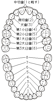 fI