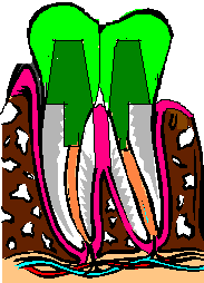 Zp[V
