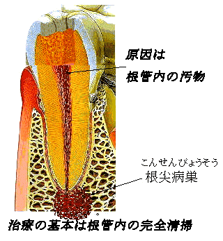 傫Ȕ^̑
