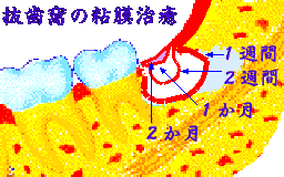 瑕܂Ŋ